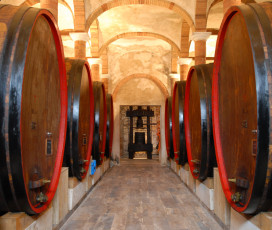 A Look At The Wine Cellar - Fèlsina